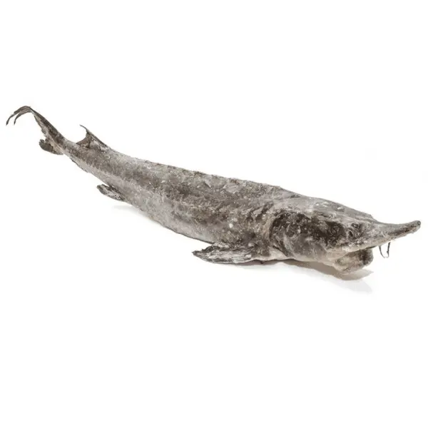 Осетр потрошенный с/м с/г OFI Caviar, ~8кг/кор