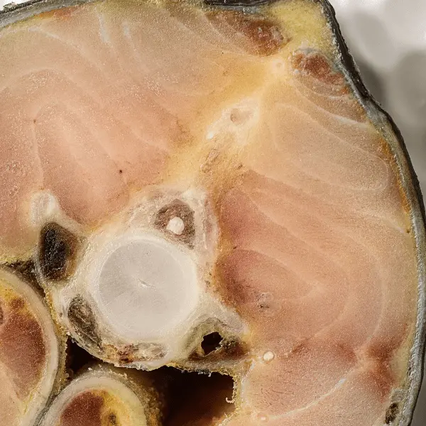 Осетр стейк с/м OFI Caviar 160-460гр, ~4,65кг/кор