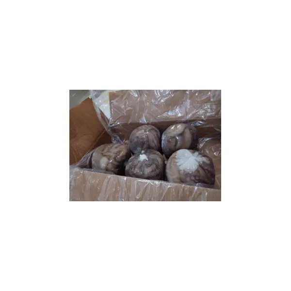 Осьминог с/м очищенный  DERHEM SEAFOOD 3010 3-4кг, ~13кг/кор