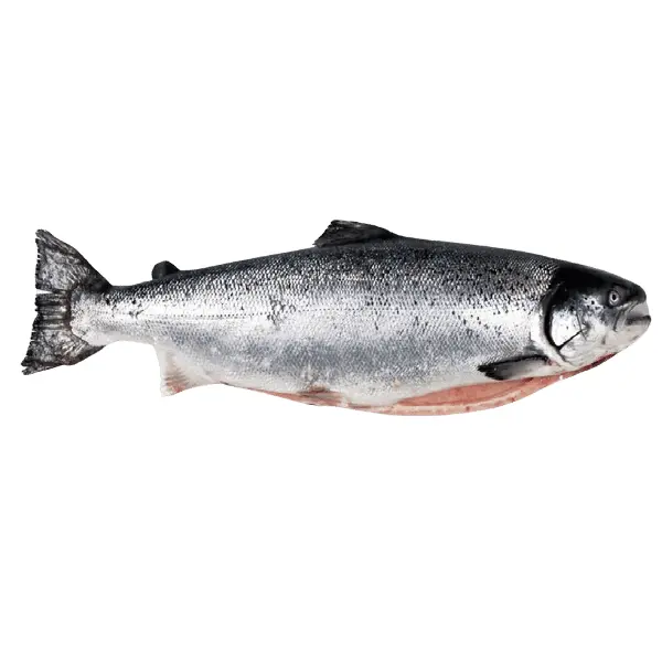 Лосось с/м 6/7 Премиум Empresas Aquachile S.A. 10636, ~30кг/кор