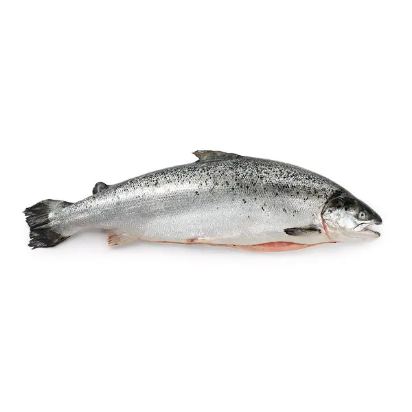 Лосось с/м 5/6 PROCESADORA AGUAS CLARAS LIMITADA/Aquachile 10160, ~25 кг/кор