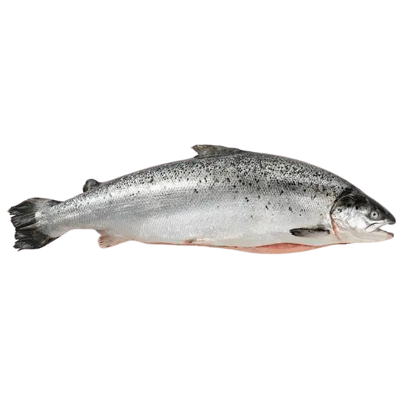 Лосось с/м 4/5 SALMONES CAMANCHACA S A, ~27кг/кор