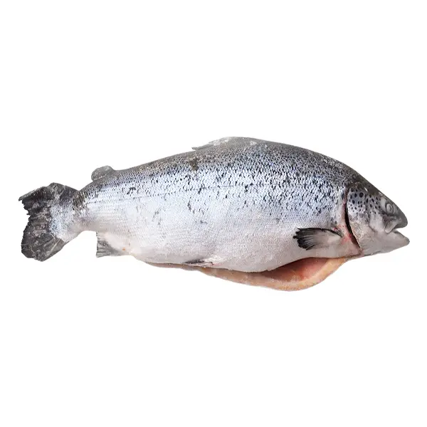 Лосось с/м 6/7 Премиум Empresas Aquachile S.A. 10636, ~30кг/кор