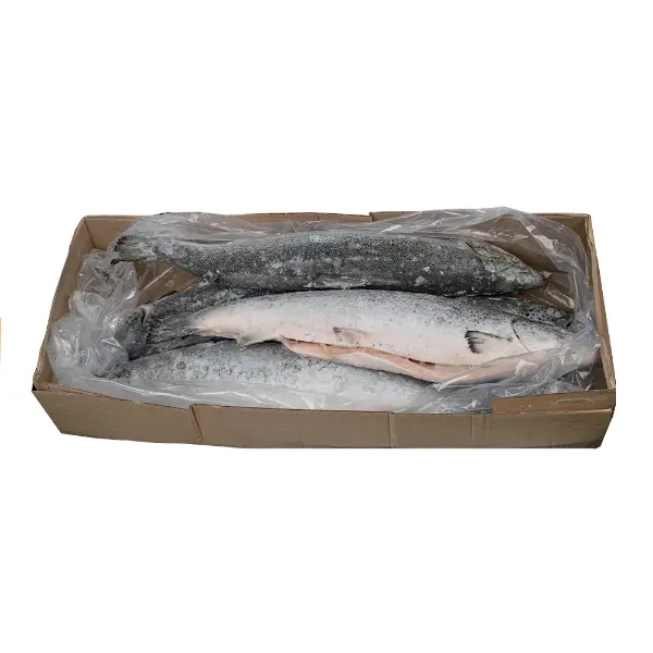 Лосось с/м 5/6 EXPORTADORA LOS FIORDOS LIMITADA 10673, ~30кг/кор