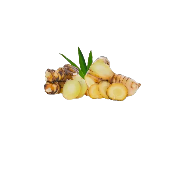 Галангал очищенный слайсы с/м THAI CHEF 500гр, 20шт/кор, Вьетнам