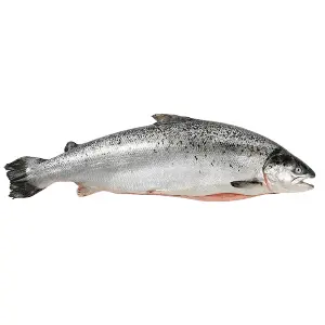 Лосось с/м 5/6 с/г Alimentos Multiexport S A 10823, ~24кг/кор, Чили