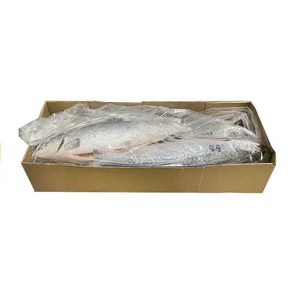 Лосось с/м 5/6 с/г Премиум Empresas AquaChile S.A. 10636, ~32кг/кор