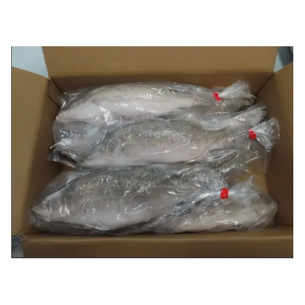 Баррамунди с/м с/г без жабр и чешуи Rongcheng Mingwei Aquatic Food Co.Ltd 3700/02B07 ~1кг, ~5кг/кор