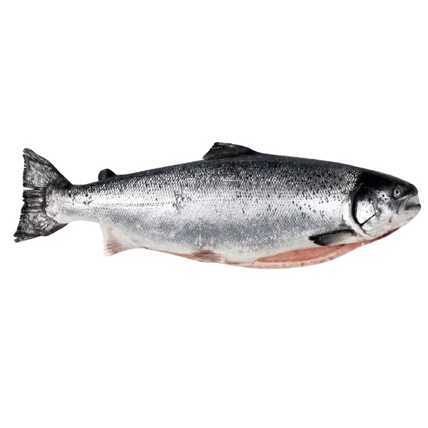 Лосось с/м 6/7 Премиум Empresas Aquachile S.A. 10636, ~30кг/кор
