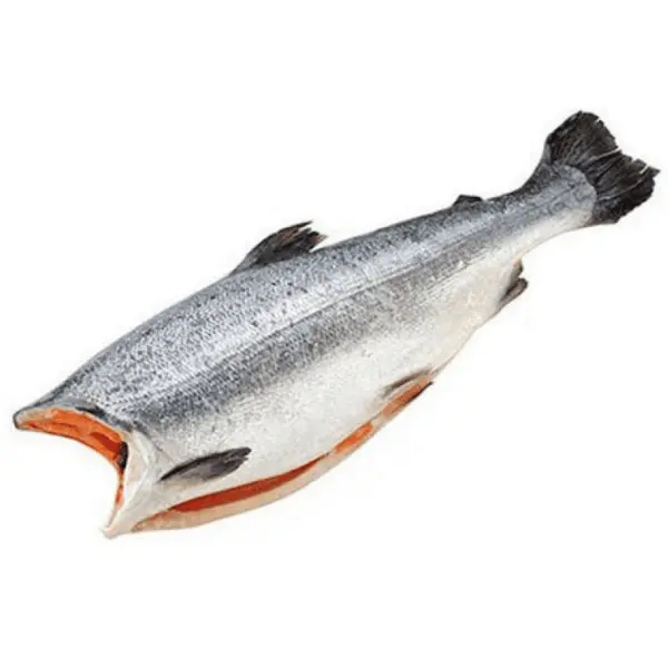 Форель потрошенная с/м б/г NAVAFISH MOSCOW 3-4кг, ~12кг/кор, Россия