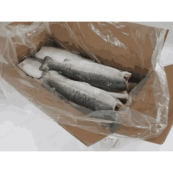 Форель радужная с/м б/г GUMUSDOGA SU URUNLERI URETIM IHR. VE ITH. A.S.TR 57-0067 2,7-3,6кг,~21кг/кор