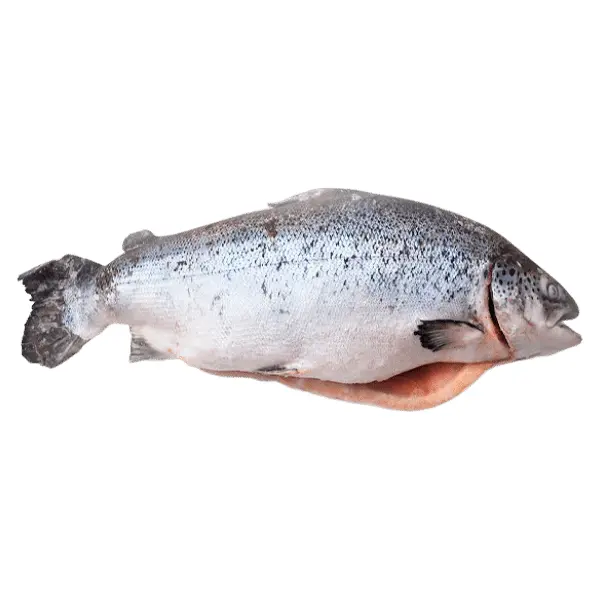 Лосось с/м 5/6 SALMONES CAMANCHACA S.A. 8384, ~28кг/кор