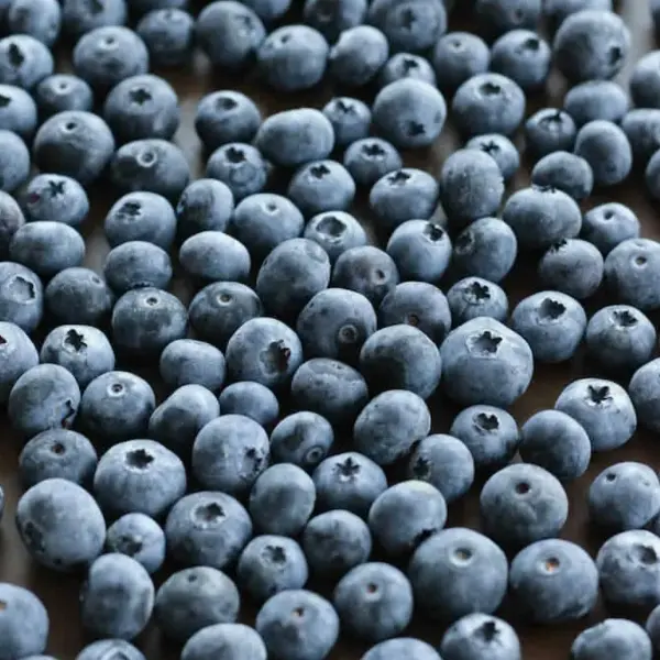 Голубика садовая с/м, 10кг/кор