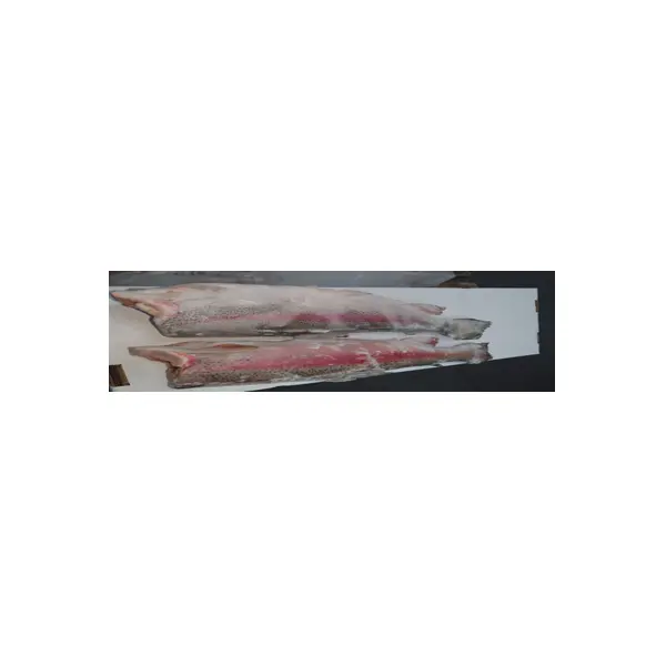 Форель горная с/м ПБГ Остров Аквакультура 2,7-4,1кг, ~25кг/кор