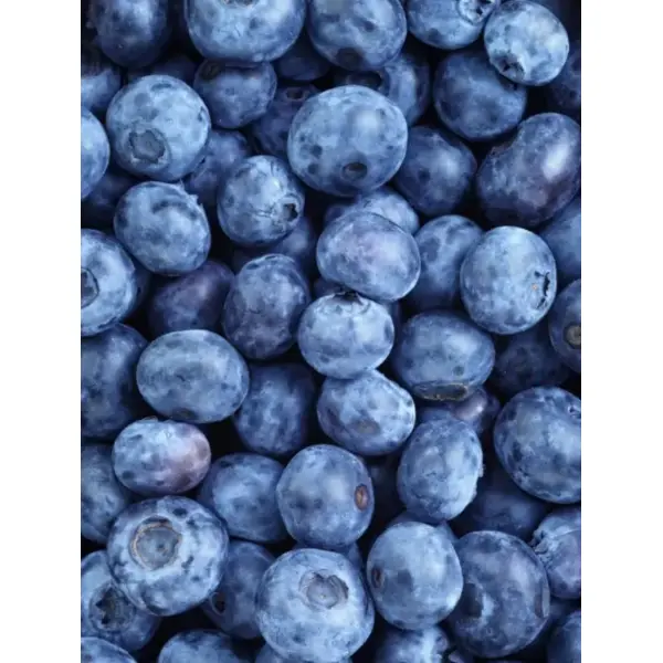 Черника с/м 1кг, 10кг/кор