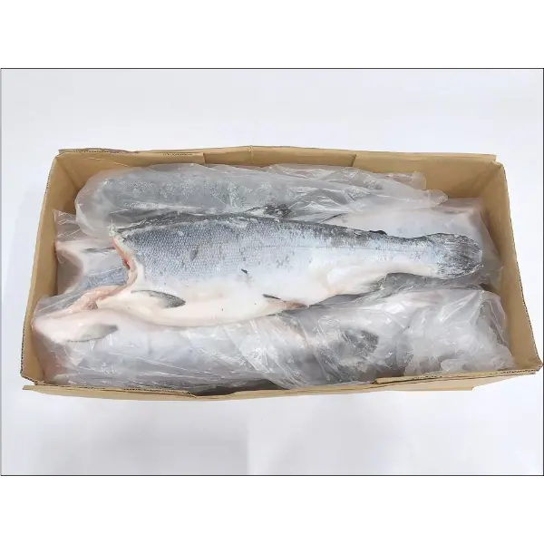 Кижуч с/м б/г Премиум индивид. упаковка 6-9фунт/шт, ~25кг/кор, Чили