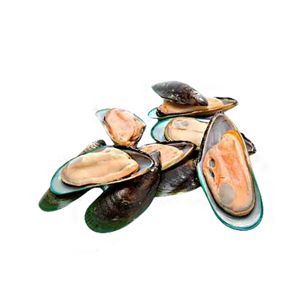 Мидии зеленые в створке раковины с/м Westpac Mussels Distributors Limit 1кг, 12шт/кор, Н.Зеландия