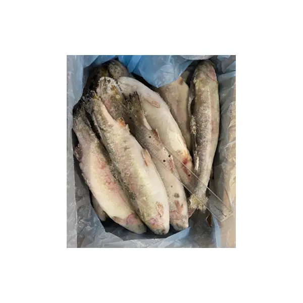 Форель с/м н/р Gumusdoga Su Urunleri Uretim Ihracat ve Ithalat A.S. 300-500гр, ~29кг/кор
