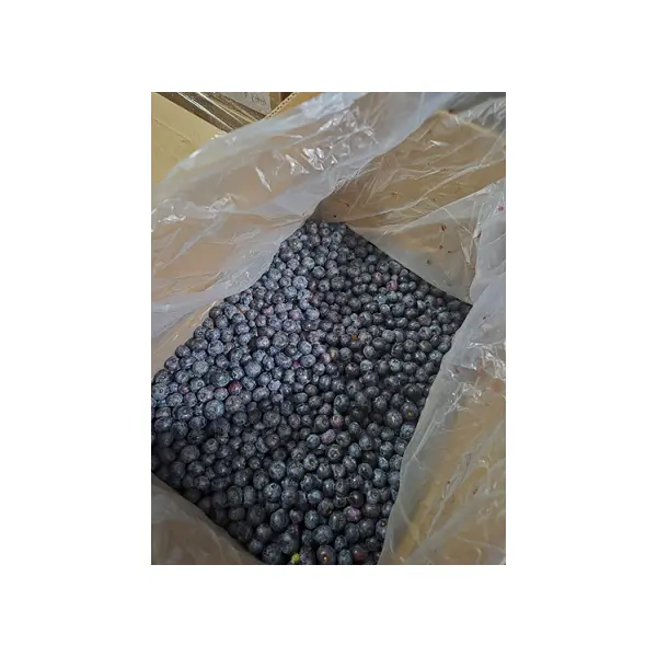 Голубика садовая с/м, 10кг/кор