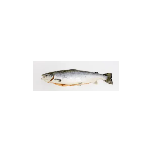 Лосось с/м 5/6 с/г Премиум Empresas Aquachile S.A.10636, ~30кг/кор, Чили