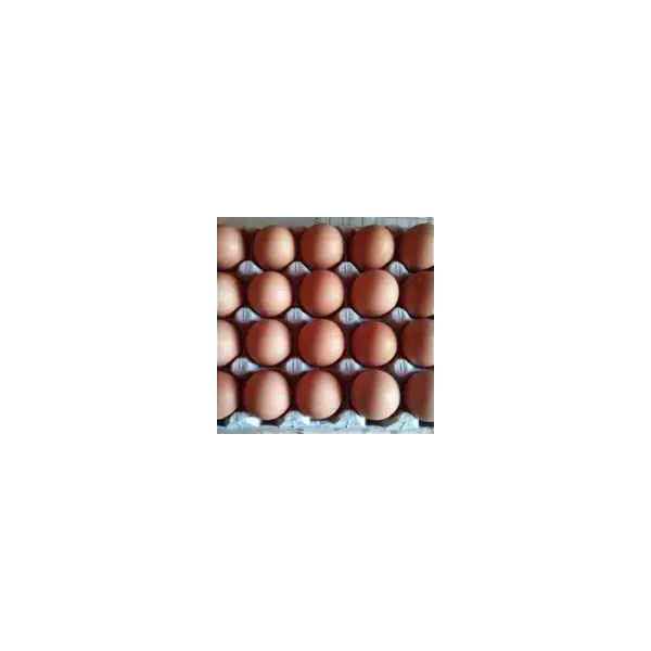 Яйцо куриное С1 Праксис, 90шт/кор