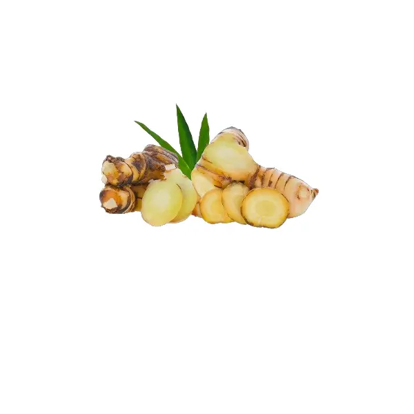 Галангал очищенный слайсы с/м THAI CHEF 500гр, 20шт/кор, Вьетнам