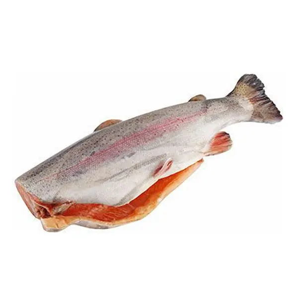 Форель радужная с/м б/г Nordzee Su Urunleri Ihr. San. Ve Tic. A. S. TR09-0572. 2,7-3,6кг, ~30кг/кор