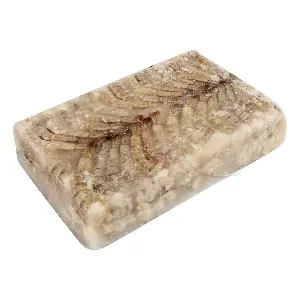 Креветка ваннамей с/м в панцире б/г 21/25,(115-119) M/s Anjaneya Seafoods 1,8кг,10,8кг/кор, Индия