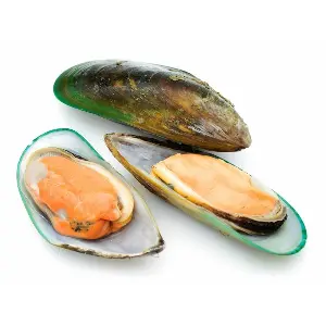 Мидии зеленые в створке раковины в/м 30/40 Shengsi Shunda Marine Food Products 1кг,12шт/кор,Китай 