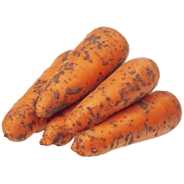 Морковь немытая 1кг, Россия